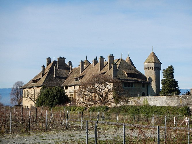 Circuit du pays de Gavot