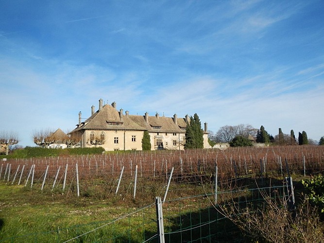 Wielerronde: Circuit de Gavot