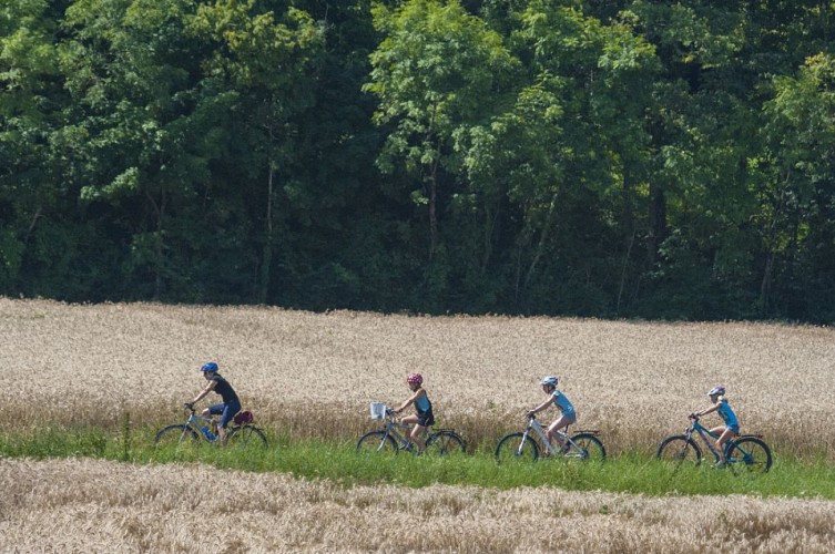Fietsparcours: Circuit du Bas Chablais