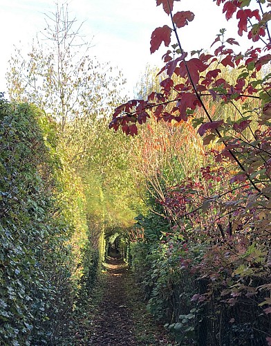 Au Sud de Sart-Messire Guillaume - Val et Oli