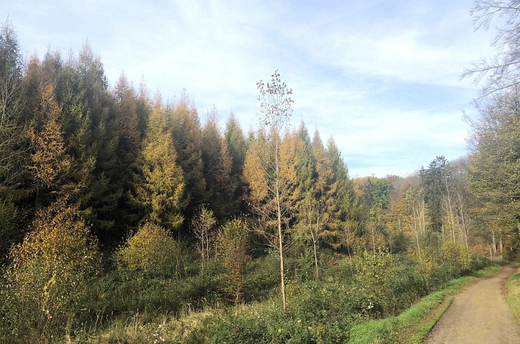 Au Sud de Sart-Messire Guillaume - Val et Oli