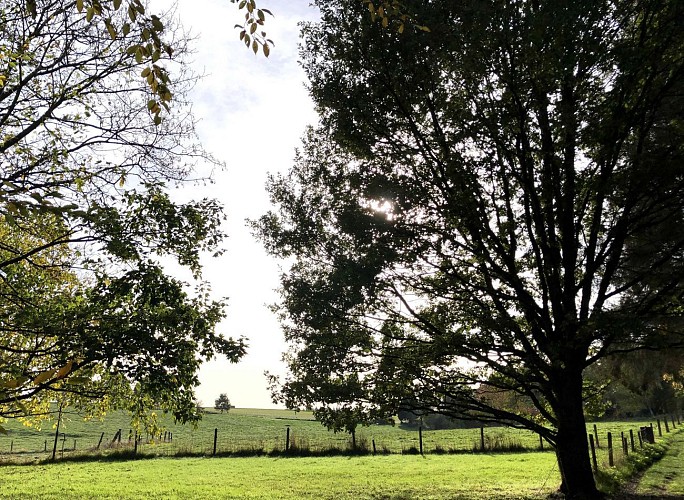 Au Sud de Sart-Messire Guillaume - Val et Oli