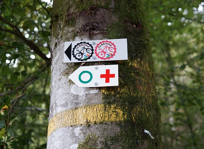 Circuit vtt Saint-Nabord - le slecard rouge