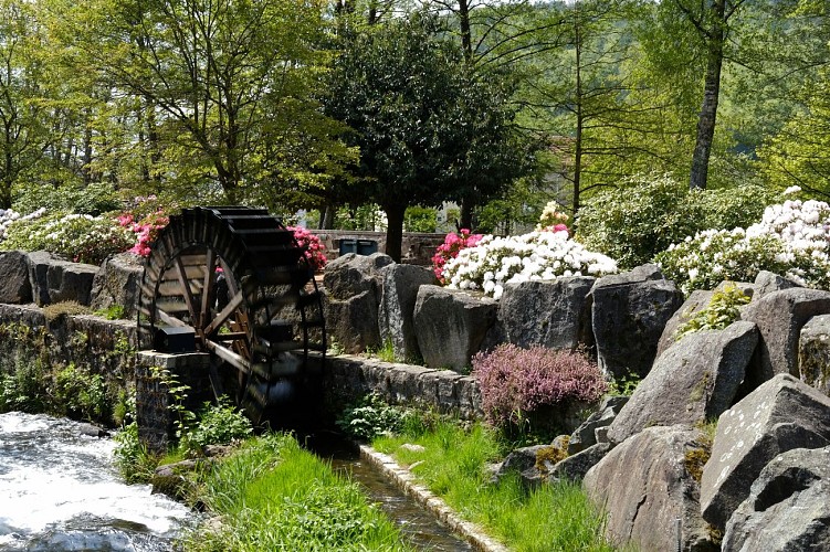 Circuit vtt AC7 vert - chemin des croix