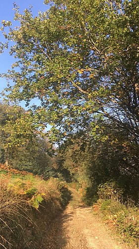 Le chemin des crêtes