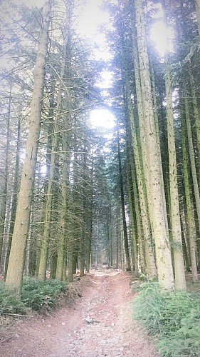 Le chemin des crêtes