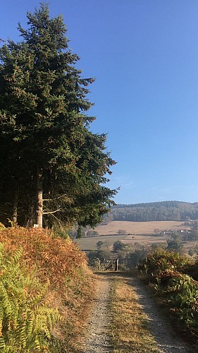 Le chemin des crêtes