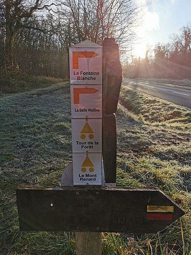 Circuit du Tour de la Forêt