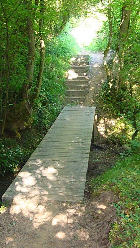 Circuit du Tour de la Forêt