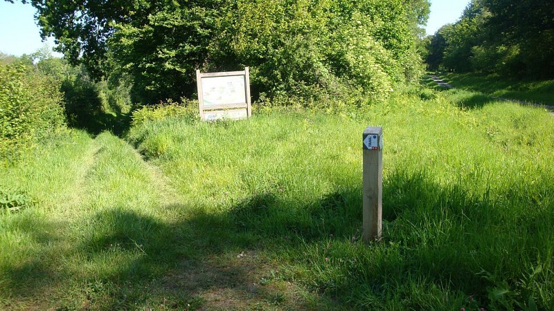 Circuit du Tour de la Forêt