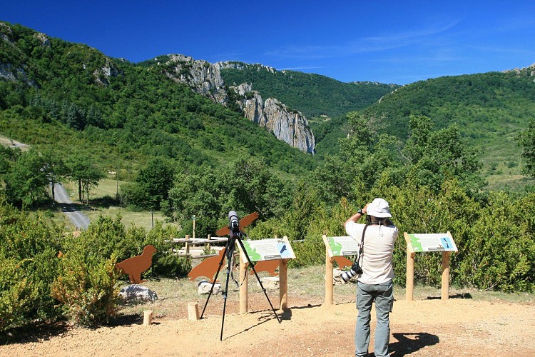 Bugarach -Le Pont Romain