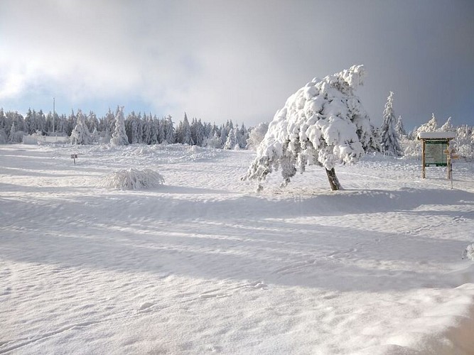 Plateau de la Verrerie