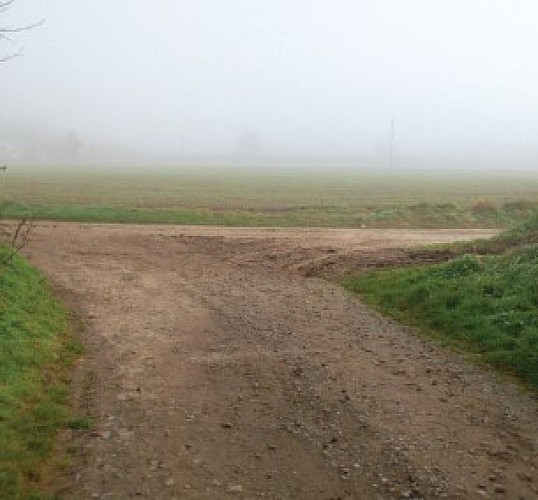 Circuit du Mont Violette