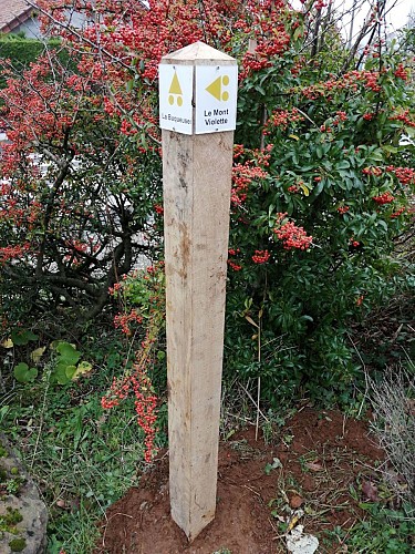 Circuit du Mont Violette