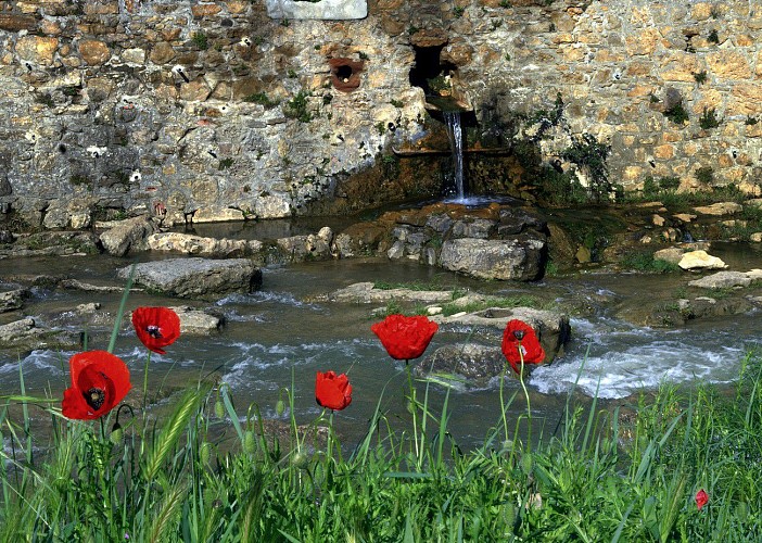 Rennes les Bains -Parcours Minéralogique