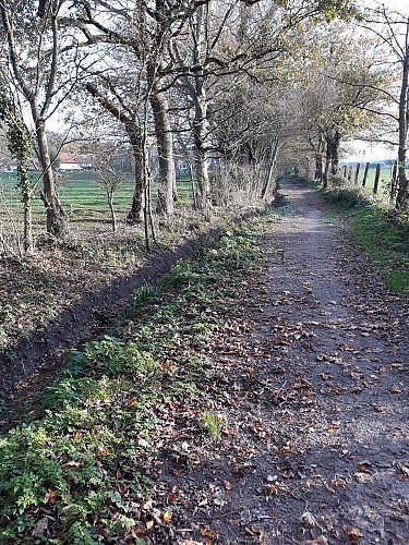 Circuit de la Buqueuse