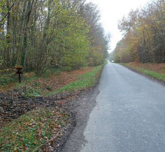 Circuit de la Buqueuse