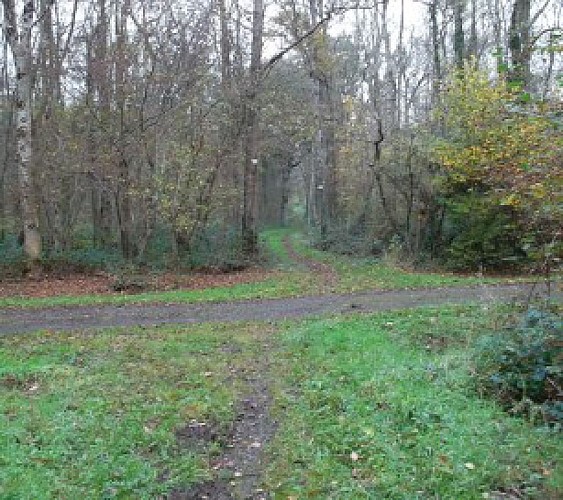 Circuit de la Buqueuse