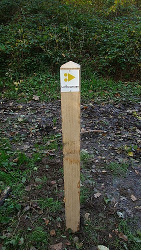 Circuit de la Buqueuse