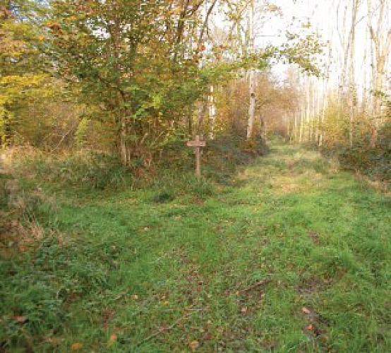 Parcours de la Claireau