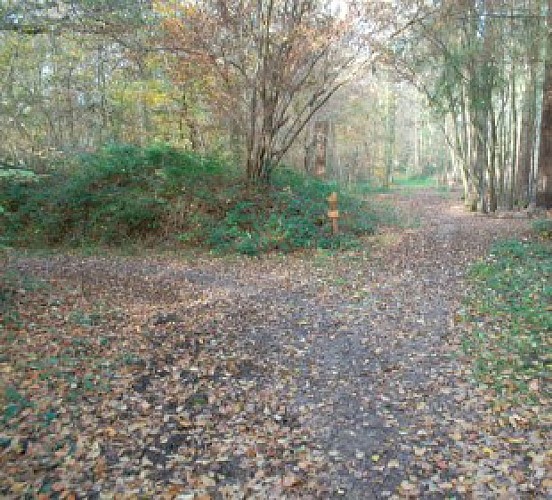 Parcours de la Claireau