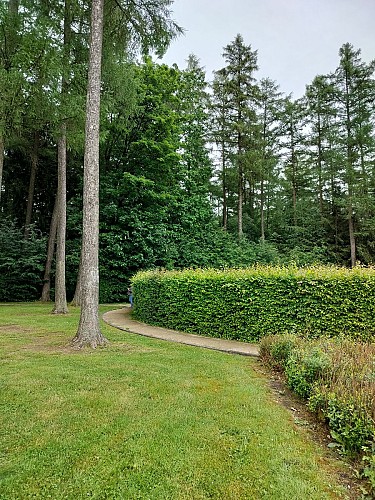 V.Jacquemin (5) promenade celte