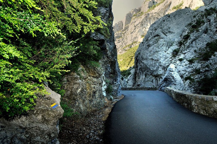 Les Gorges de Galamus