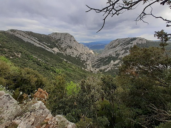Les Gorges de Galamus