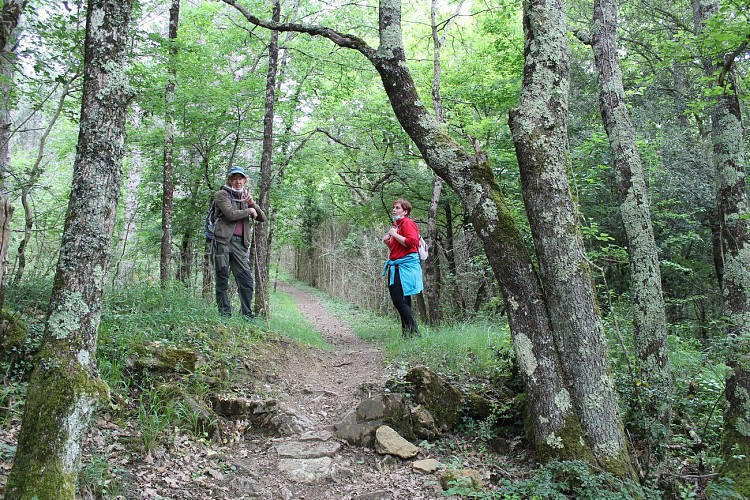 Camps sur l'Agly-Le circuit de la pause dit « le sentier des contrebandiers du sel »