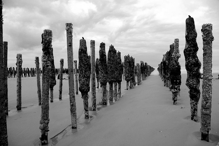 La Vélomaritime® - EuroVelo 4 - Le Crotoy -> Berck