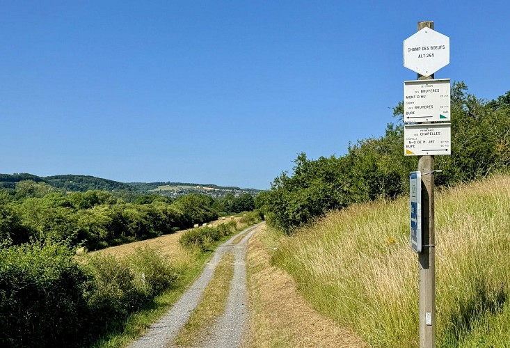 Tellin_promenade_des_chapelles©MTFSH-TEXTO_Pascal_Willems_(75)