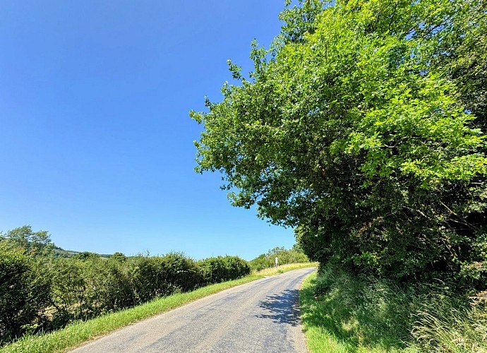Tellin_promenade_des_chapelles©MTFSH-TEXTO_Pascal_Willems_(53)