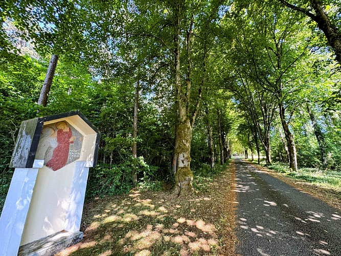 Tellin_promenade_des_chapelles©MTFSH-TEXTO_Pascal_Willems_(5)