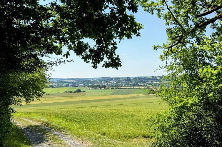 Tellin_promenade_des_chapelles©MTFSH-TEXTO_Pascal_Willems_(16)