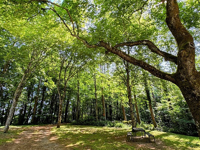 Tellin_promenade_des_chapelles©MTFSH-TEXTO_Pascal_Willems_(41)