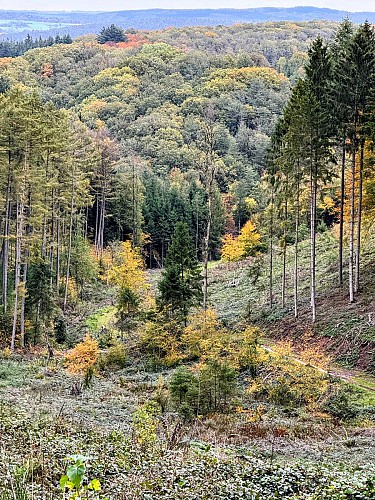 Promenade_croix_javalle@MTFSH_TEXTO_Pascal_Willems_(9)