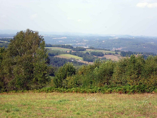 Chemin de Sussac au Mont Gargan