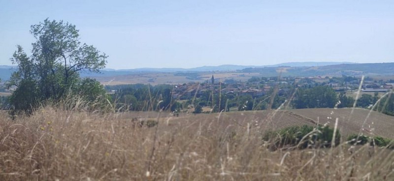 Entre Statues Menhirs et Rougier
