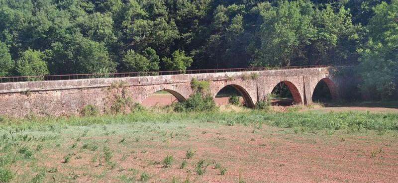 Entre Statues Menhirs et Rougier