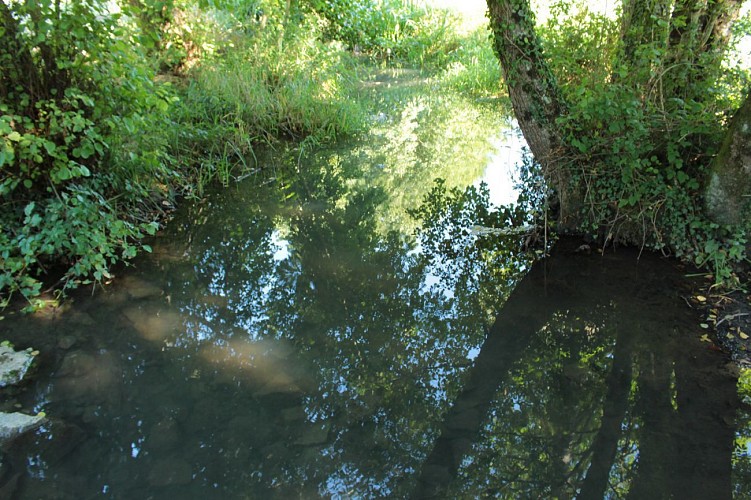 Saint Laurent de Ceris - Sentier Jaune