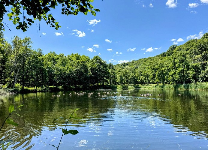Tellin_promenade_des_etangs©MTFSH_TEXTO_Pascal_Willems_(12)