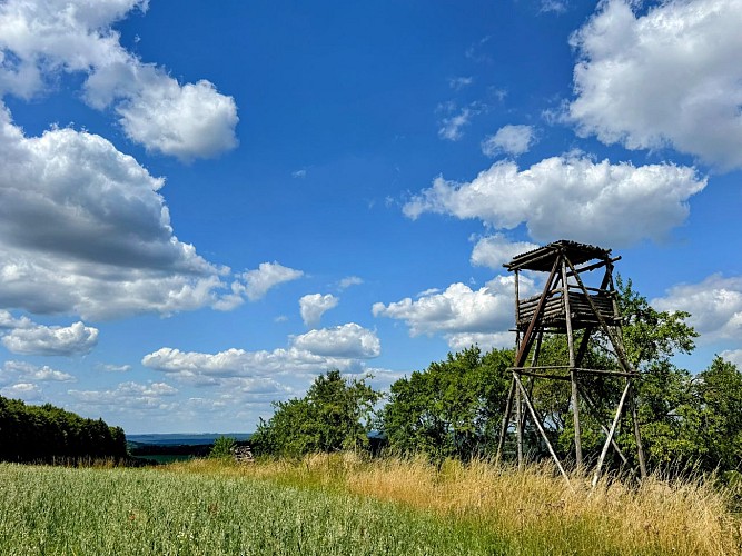 Tellin_promenade_des_etangs©MTFSH_TEXTO_Pascal_Willems_(149)