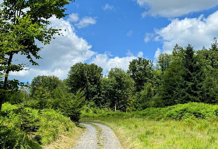 Tellin_promenade_des_etangs©MTFSH_TEXTO_Pascal_Willems_(147)