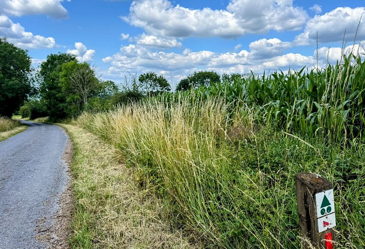 Tellin_promenade_des_etangs©MTFSH_TEXTO_Pascal_Willems_(84)