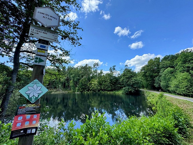 Tellin_promenade_des_etangs©MTFSH_TEXTO_Pascal_Willems_(104)