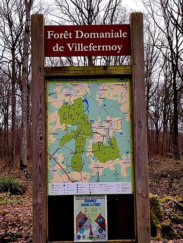 La forêt de Villefermoy