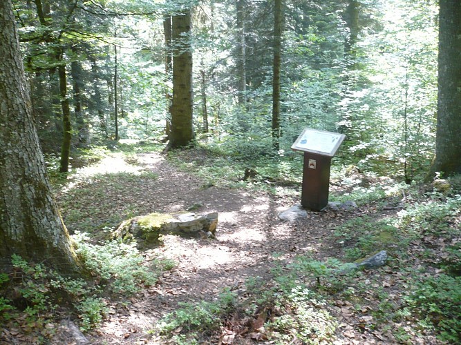 The Chevran educational trail