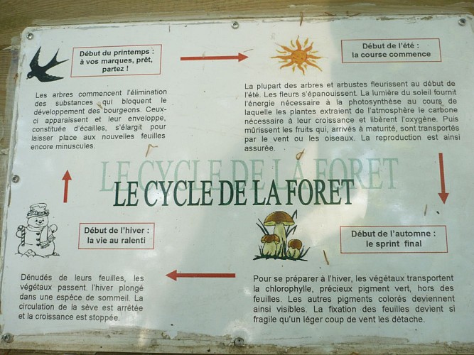 The Chevran educational trail