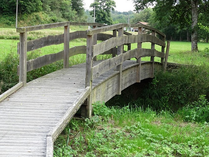 Sentier d'interprétation de l'étang