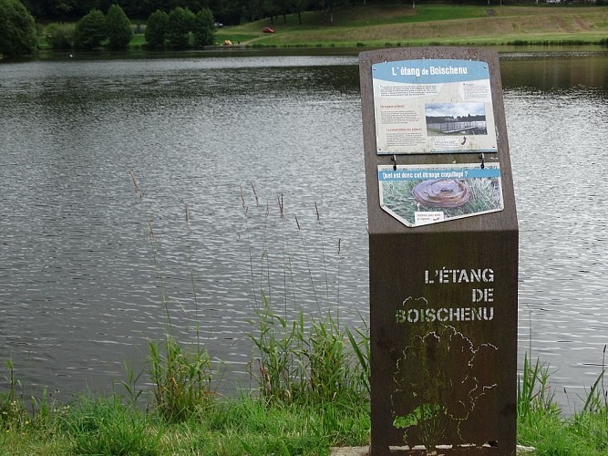 Sentier d'interprétation de l'étang